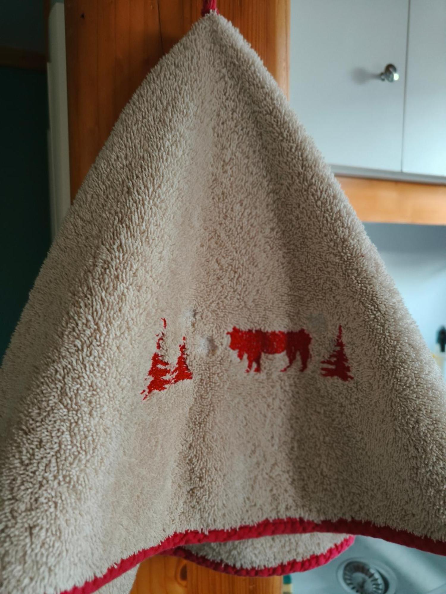 Chalets De La Colagne Bourgs sur Colagne エクステリア 写真