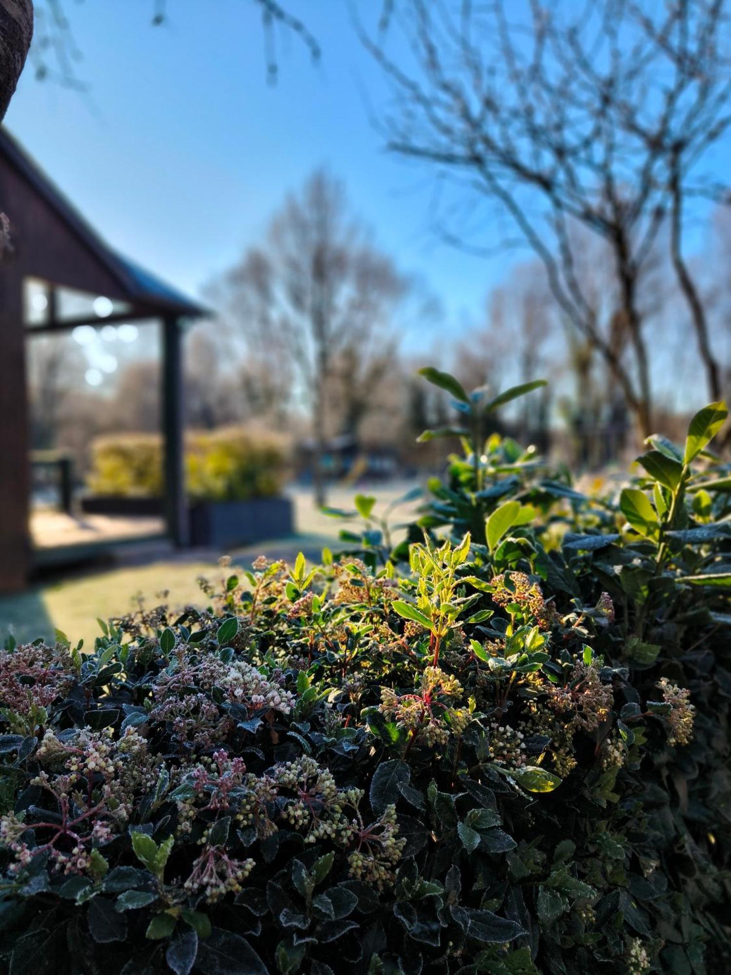 Chalets De La Colagne Bourgs sur Colagne エクステリア 写真